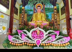 Hoa. Dâng phật